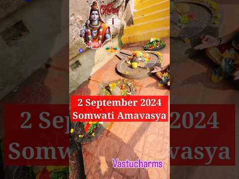 Importance of Somvar amavasya #youtube #astrology #vastu #vastucharms #luck #youtubeshorts #monday