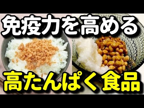 免疫力を高める最高のたんぱく質食品６選！免疫を高め風邪や病原菌に負けない体になるには？より効果的な食べ方は？知ってよかった健康雑学