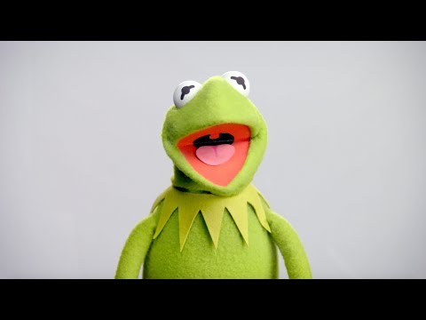 Muppet Thought of the Week ft. Kermit the Frog | The Muppets