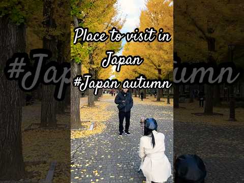 Japan autumn season                                  #japan #japanautumn