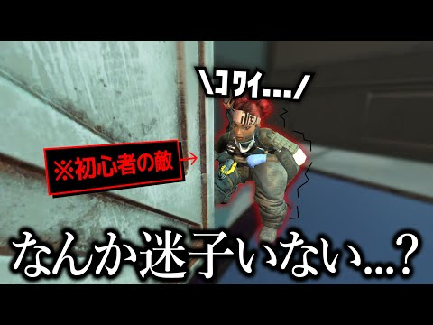 必死に一人で隠れる可愛い初心者の敵さん【APEX】