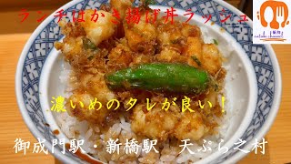 御成門・新橋駅　天ぷら之村のかき揚げ丼。美味っ！