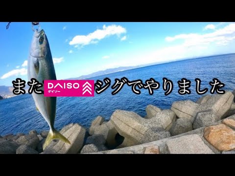 【ショアジギング】DAISOジグで青物！！