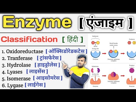 Enzyme in Hindi | Enzymes Biochemistry | Enzyme Classification | Enzymes Inhibition | Enzymes Notes