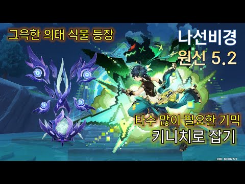 원신 5.2 나선비경 그윽한 의태 식물 등장 12층 36별 클리어 Genshin Impact 原神 스누피냥