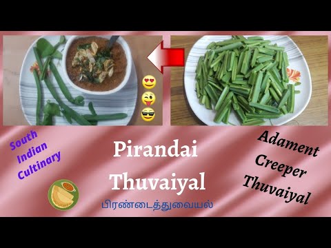 Pirandai Thuvaiyal/பிரண்டைத்
துவையல்/adament creeper Thuvaiyal/priya wow channel