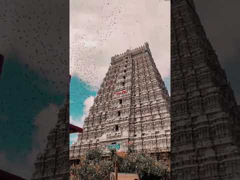 Arunachalesvara temple, Arunachala hill, Thiruvannamalai , Thamilanadu state, India.