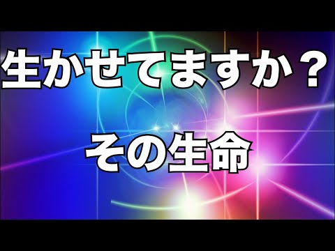 死の恐怖を克服し多幸感スパイラルを構築する心の操縦術