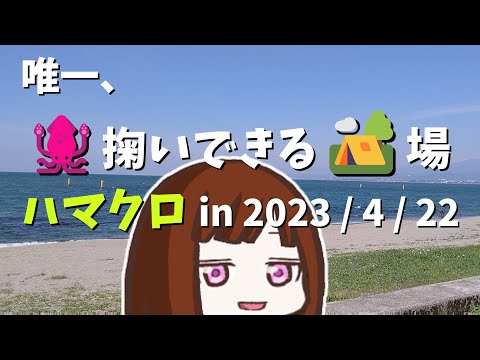 人気チューバーとの遭遇♦イカ掬いの『浜黒崎キャンプ場』