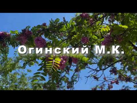 Огинский М К  полнез №8  музыка для души