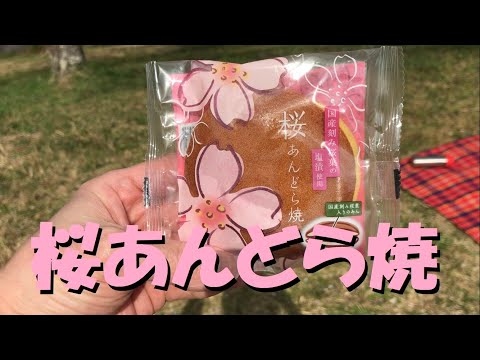 和歌山県橋本市の橋本カントリークラブで桜の花見をしながら旨いもんを食う！たかぼん