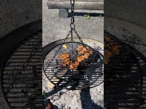 Barbecuing Meat On A Grill #barbecue #meat #grill #chicken #beef