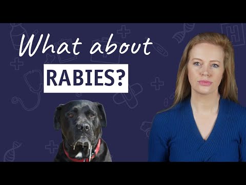 What About Rabies?