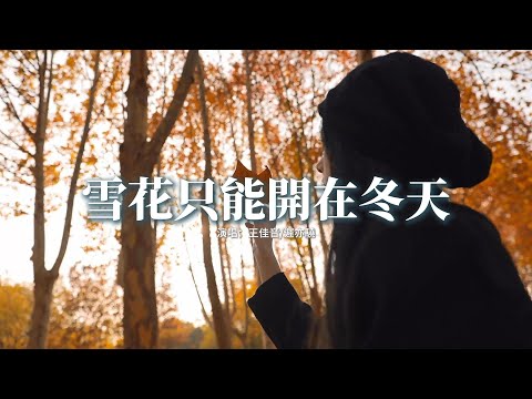 王佳音/遲亦驍 - 雪花只能開在冬天『回憶像一萬根針 不停的向著我心裡扎，你說的 情話 如今 就像 一種懲罰，忘不掉你的我 每一天都在付出代價。』【動態歌詞MV】