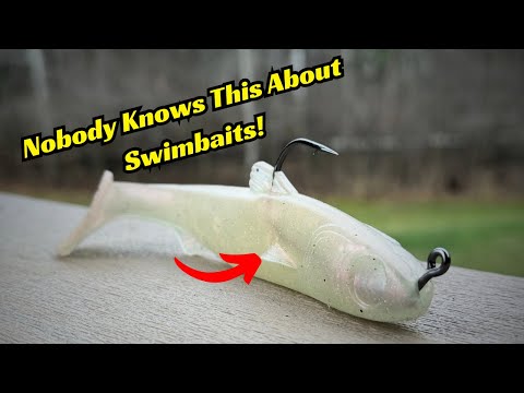 People Don’t Know This About Swimbaits!