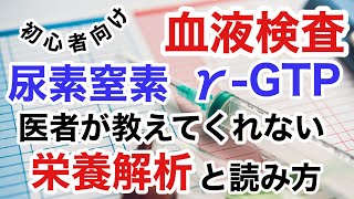 血液検査γ-GTPと尿素窒素(BUN)の栄養解析と読み方！分子栄養学による解析法(初心者向け)【栄養チャンネル信長】