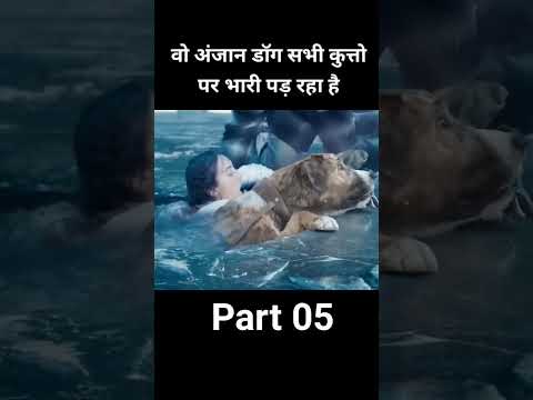 #dog #amazingfacts #factsinhindi #knowledge #movie #ll #cricket #part3 #hindisong #comedy