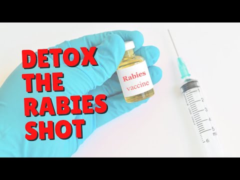 Detoxing Cats From The Rabies Shot | Two Crazy Cat Ladies