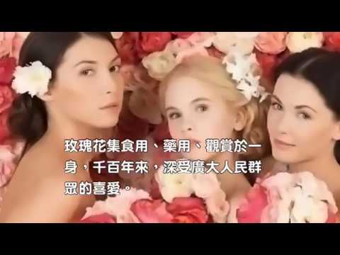 女人每天一杯玫瑰花茶，一個月後你就能看到這5大奇蹟！