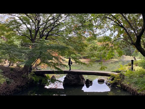 東京六義園 / Japanese Garden —  Tokyo Rikugien Garden，visited on 11-15-2023