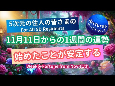 Weekly Fortune Tarot Oracle Reading for 5D Residents! (From Nov 11th)