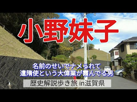 【小野妹子】名前のせいでナメられて、遣隋使という大偉業が霞んでる男