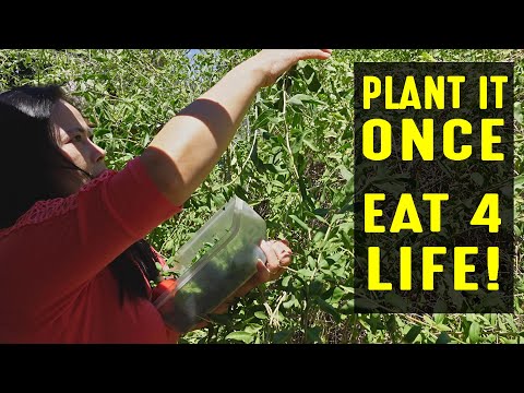 Plant It Once, Eat For Life!