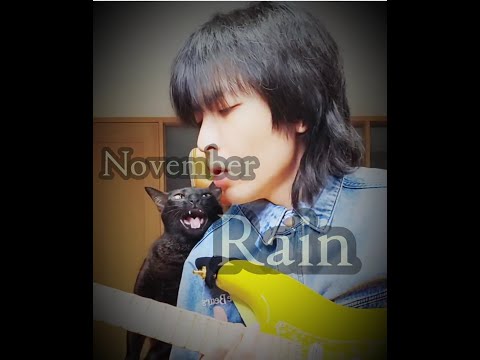 20230217 November Rain（Guitar solo） on Jam Hsiao IG /  蕭敬騰 | 怕貓誤入...這個take 圓圓真的太可愛了