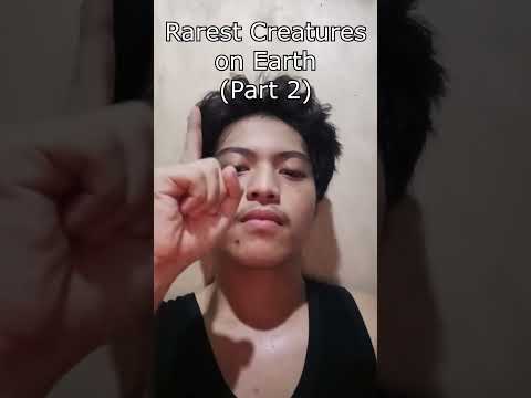 rarest creatures on earth (part 2) #skit