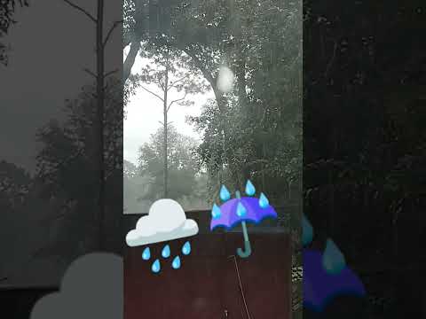 #rain #nature #naturelovers #raining #florida #floridaoutdoors #floridaliving