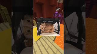 The Ultimate Cat Meme Showdown#catmemes #catsoftiktok #cats #catslovers #catsvideo