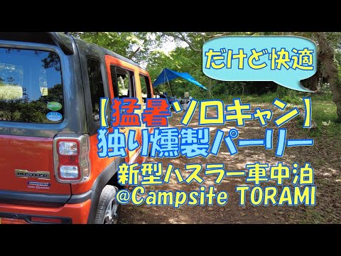 【猛暑ソロキャン】だけど快適 独り燻製パーリー 新型ハスラー車中泊@Campsite TORAMI