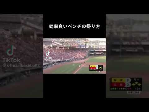 草 #中日ドラゴンズ #プロ野球スピリッツ2022風 #歌詞動画 #プロ野球スピリッツ2022 #プロスピ #阪神タイガース #バズれ