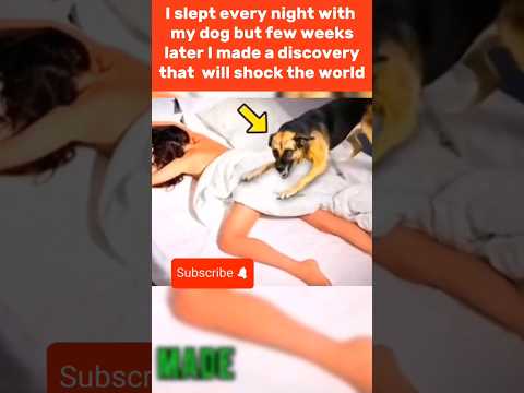 #shorts #short #dog #doglover #youtubeshorts #trending #foryou #cute #funny #funnyshorts #trending