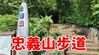 《忠義山步道》 爬山健行、享受大自然、放鬆身心！