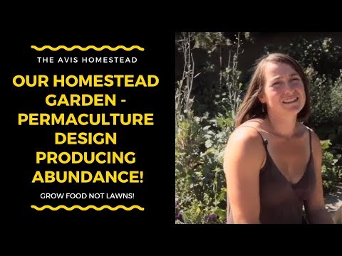 Homestead Garden - Permaculture Design Producing Abundance!