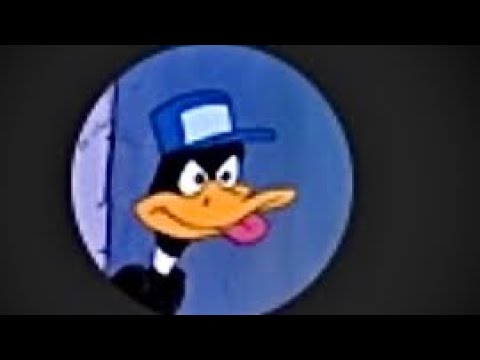 The Daffy Duck Profile Picture