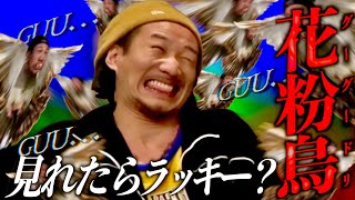 MYくんグーグー笑いこらえる集 Part9