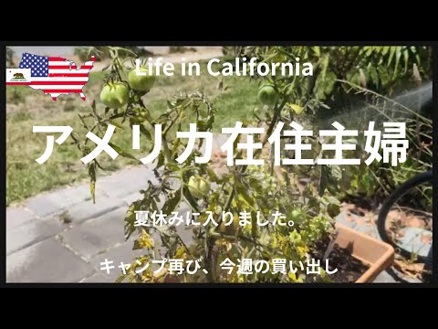 【アメリカ在住主婦】夏休みに入りました｜キャンプ再び｜今週のトレーダージョーズ、コストコ買い出し｜Targetでお買い物