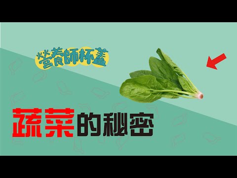 蔬菜的秘密 【一分鐘看營養EP2】by營養師杯蓋