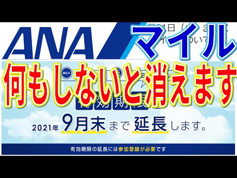 ANAマイル、何もしないと今度こそ消えます。2021年4月～8月分の期限延長方法を解説！ANAサイトで登録しないとダメです。