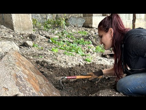 Badger Exploration LIVE Bottle Digging Adventure: Uncovering the RAREST Bottles! #bottledigging #fyp