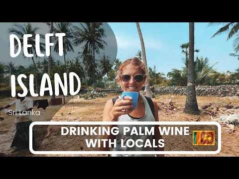 Delft Island | Sri Lanka’s Secret Island?! 🇱🇰