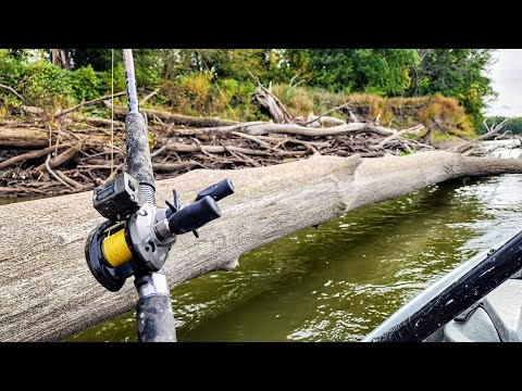 These Brush Piles Were STACKED WITH FISH!! (Kayak Fishing)