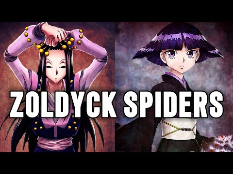 Why did the Zoldycks join the Phantom Troupe? | Hunter x Hunter