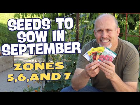 IT'S NOT TOO LATE! 15 Crops you can STILL Plant in SEPTEMBER!