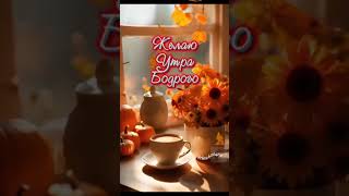 Воскресенье! С Добрым Утром! ☕🎃🧆🍂🍁