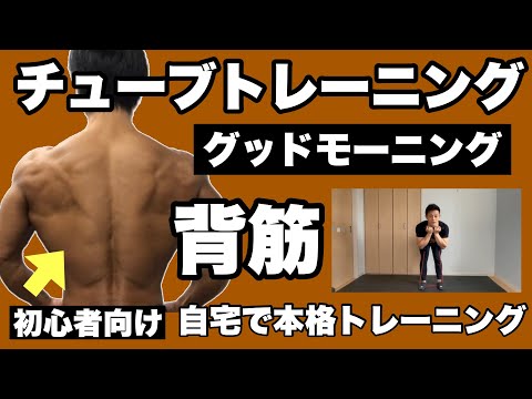 【背筋】腰、腿裏、お尻、背面を同時に鍛えられる！チューブトレーニング