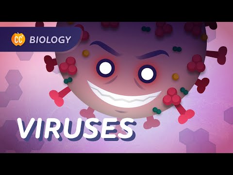 Viruses & Vaccines: How Do Vaccines Work?: Crash Course Biology 39