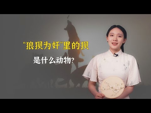 “狼狈为奸”里的狈，是什么动物？和狼相比到底谁厉害？